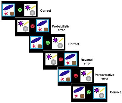 Computational analysis of probabilistic reversal learning deficits in male subjects with alcohol use disorder